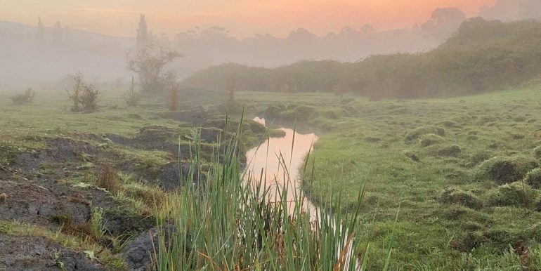 The Sanctuary, Georges Creek Wetlands misty mornings Photo Terry Malone Cropped 1